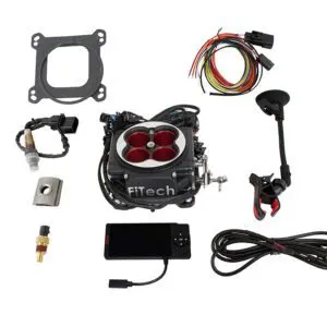 Go Port EFI System Standalone