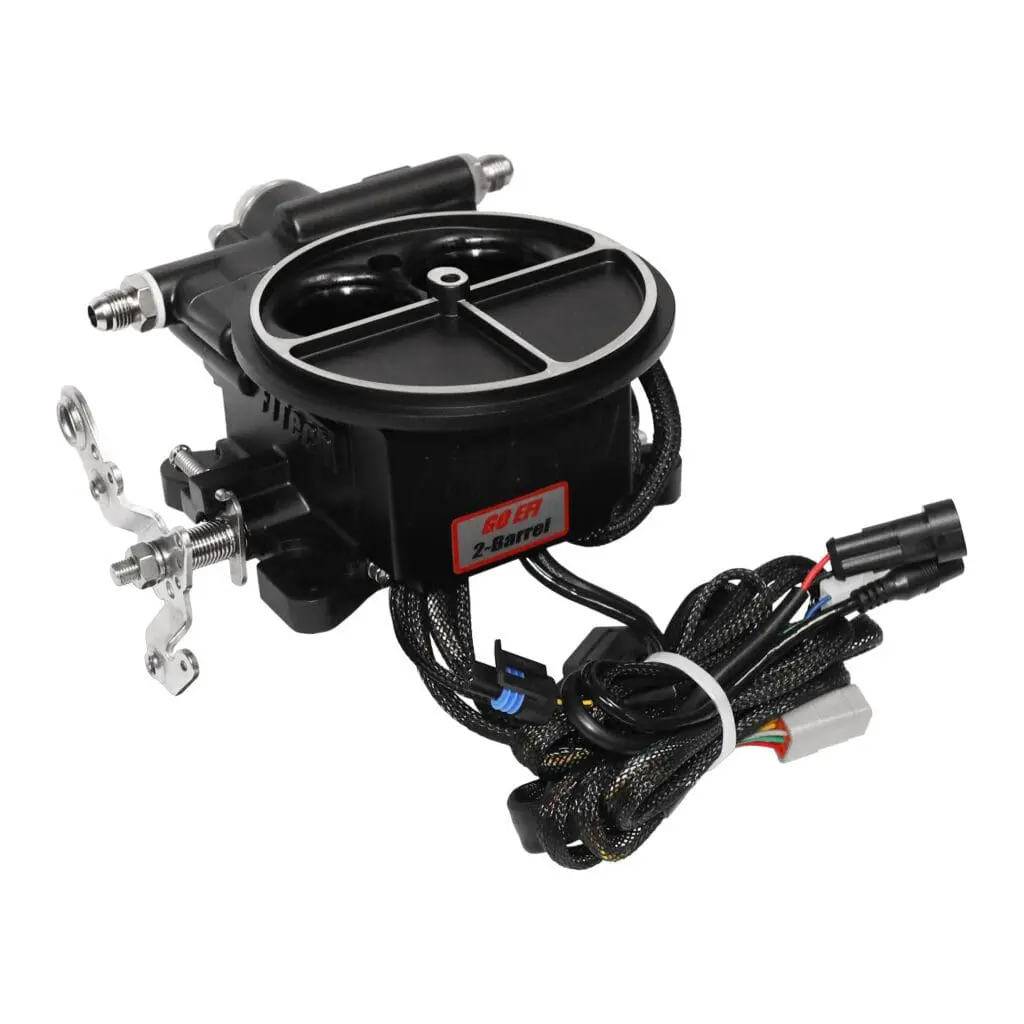 Fuel injection system with wiring harness.