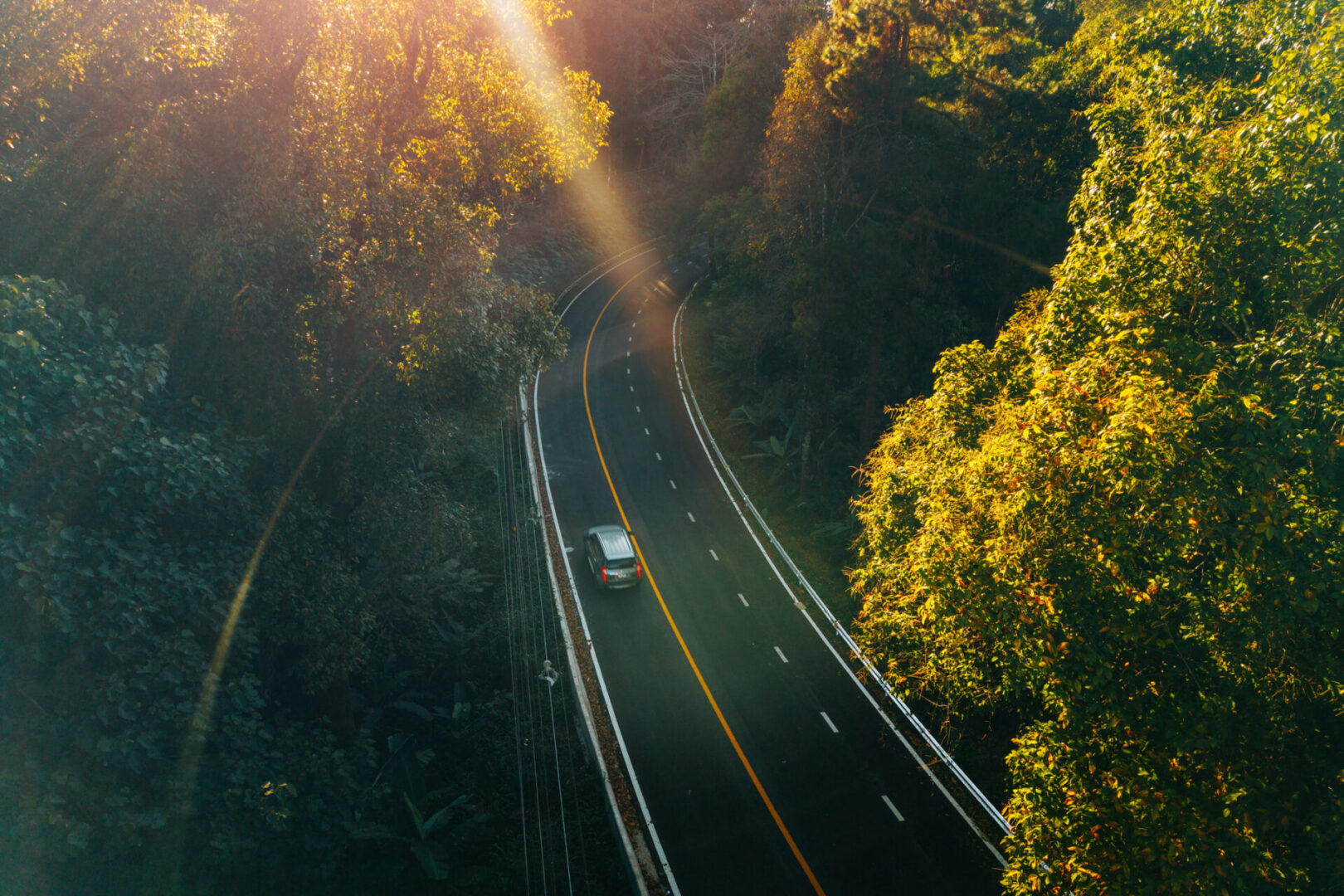 Aerial view of roads and forest in the evening; environmentally friendly travel and transportation.